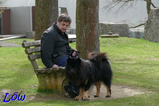 31.3.2024 - Geschafft, Plateau erreicht